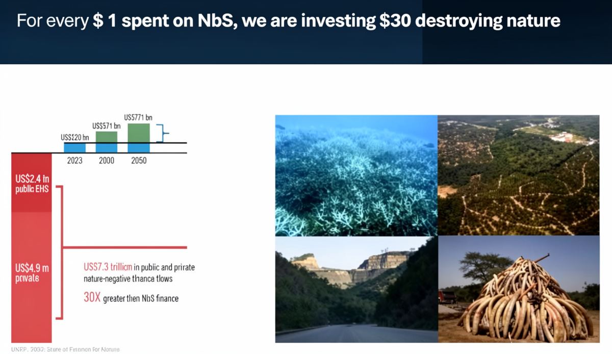 Slide from Ivo Mulder - 22 May 2026